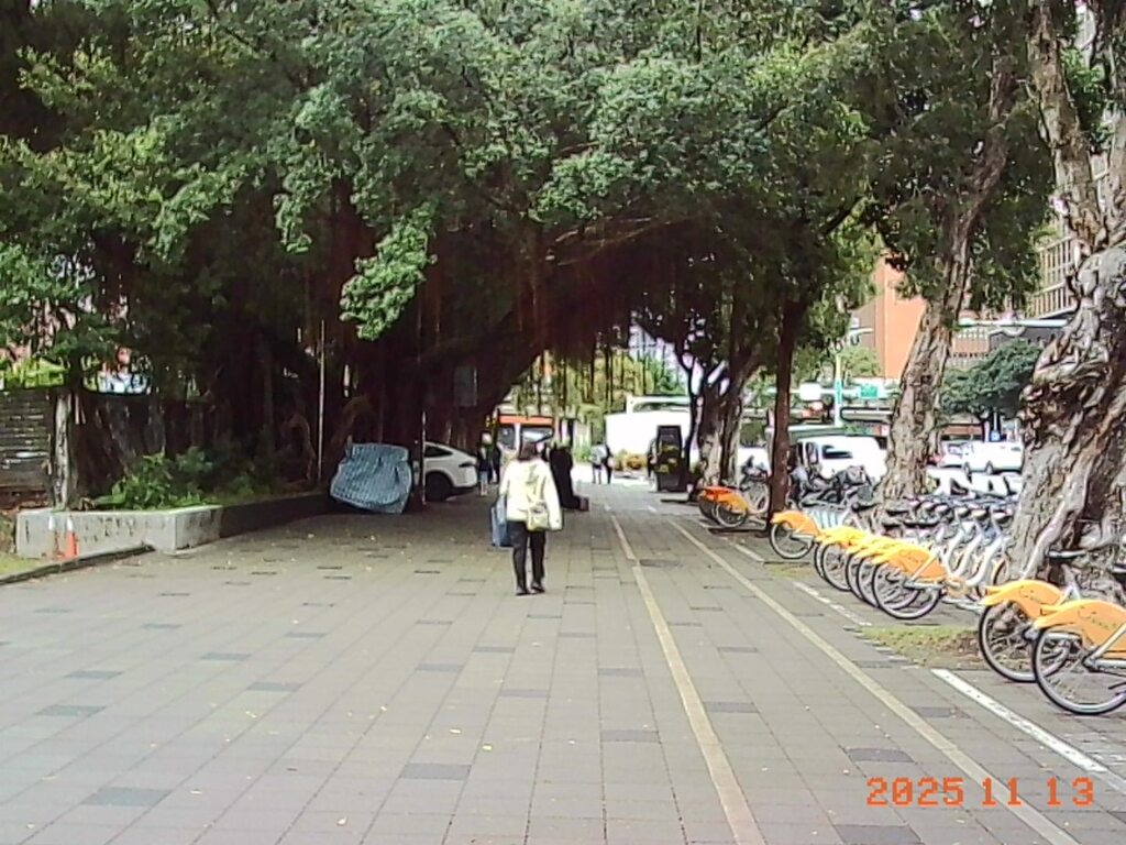 台湾のツルが垂れてる木(KODAK Charmera)